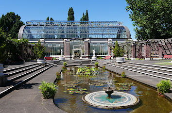 Auckland Domain