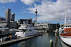 Auckland City