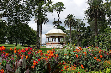 Blumen und Pavillon Auckland Domain