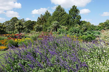 Blumengarten Botanischer Garten Auckland