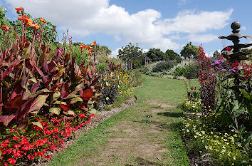 Blumen im Botanischer Garten Auckland