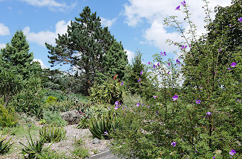 Botanischer Garten Auckland