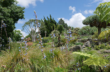 Botanischer Garten Auckland