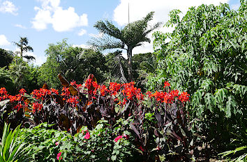 Botanischer Garten Auckland