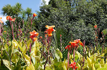 Botanischer Garten Auckland