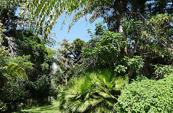 Botanischer Garten Auckland
