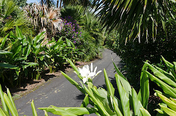 Botanischer Garten Auckland