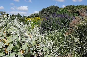 Blumengarten Botanischer Garten Auckland