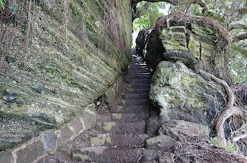 Felsentreppe am North Head in Auckland