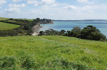 Long Bay Regional Park in Auckland