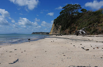 Long Bay Regional Park in Auckland