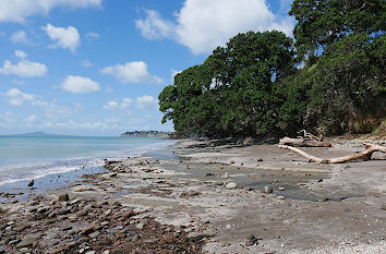 Long Bay Regional Park in Auckland