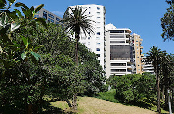 Myers Park in Auckland