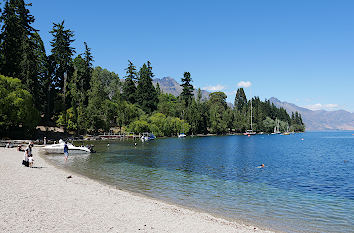 Sommerflieder in Neuseeland