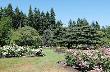 Rosengarten in Queenstown