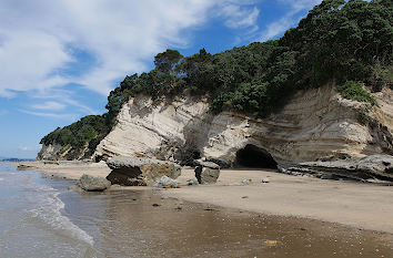 Narrow Neck Beach in Auckland