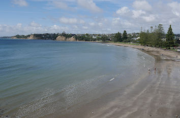 Browns Bay Beach in Auckland