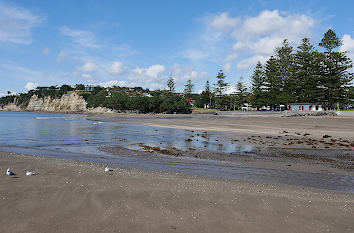 Waiacke Beach in Auckland