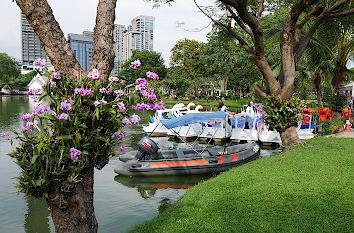 Lumphini Park in Bangkok