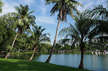 Lumphini Park in Bangkok