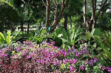 Saranrom Palace Park in Bangkok